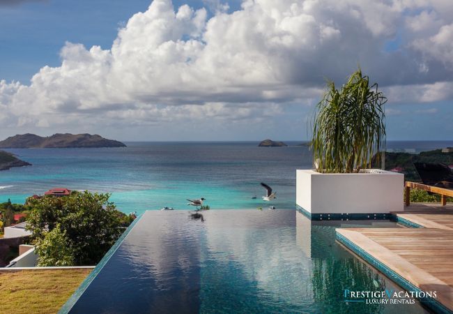 Villa à Saint Barthélemy - Wings