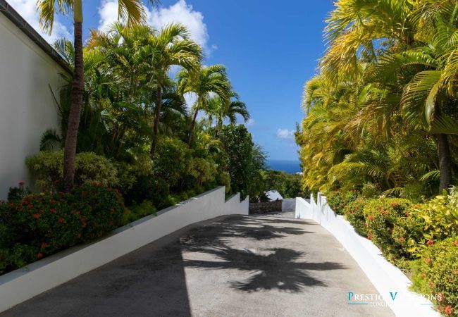 Villa à Saint Barthélemy - Bellissima