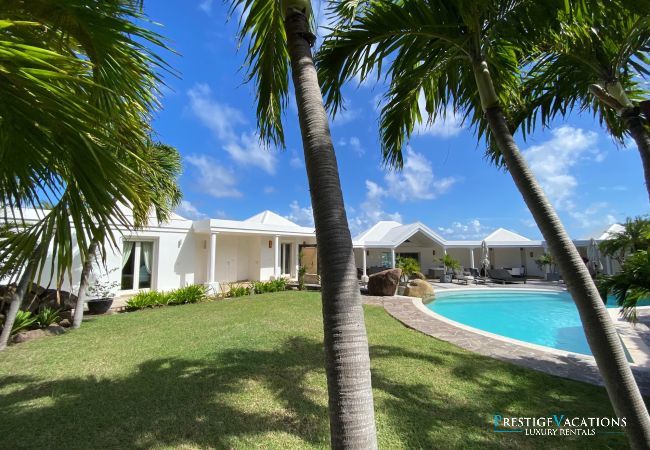 Villa à Saint Barthélemy - Arrowmarine