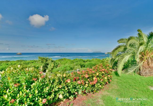 Villa in Saint-François - Iguana Bay